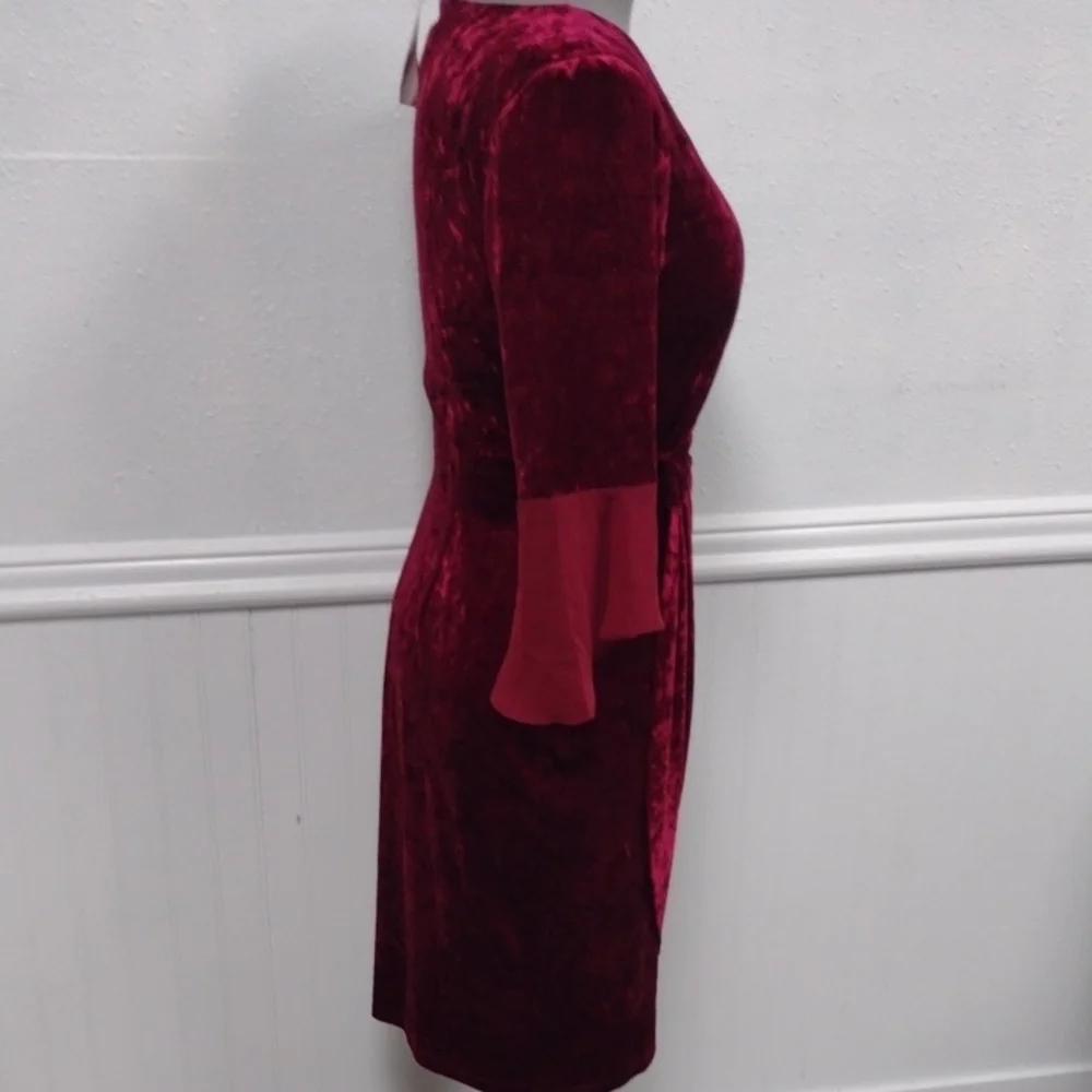 NEW Luxurious Velvet Long Sleeve Dress in Deep Red,Wedding Guest, Party Guest - Picture 6 of 12